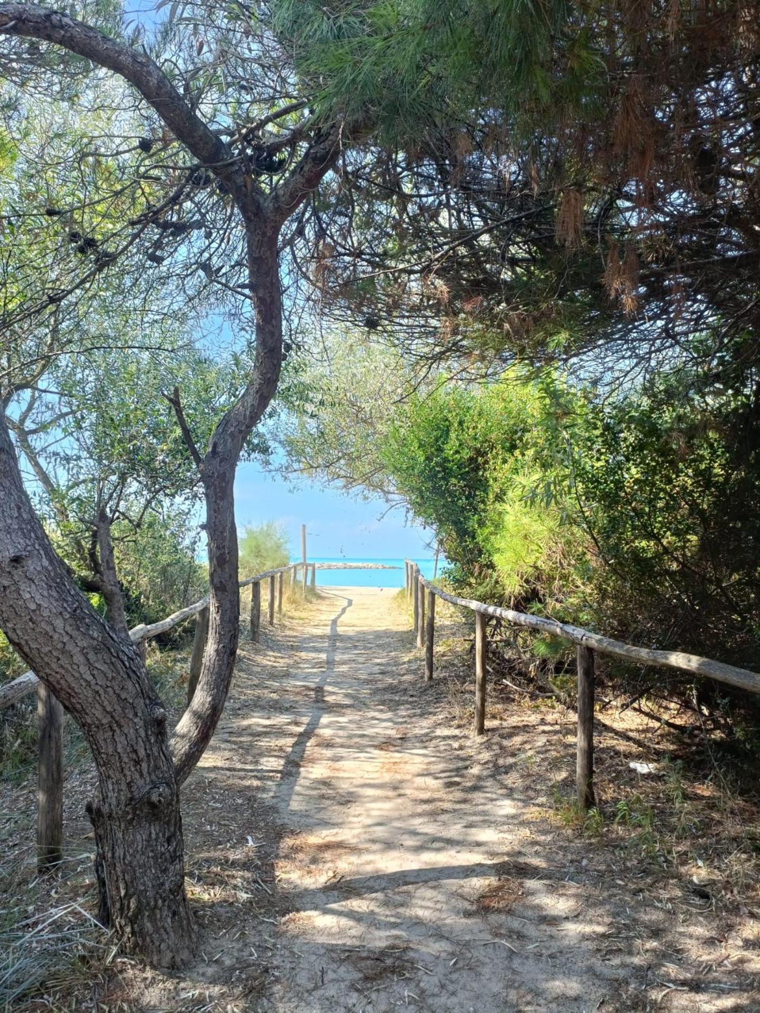 Appartamento Vada Bagian luar foto